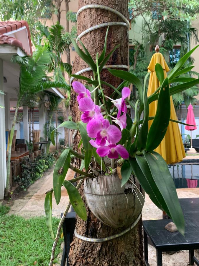 ホテル Angkor Magic Tree Boutique シェムリアップ エクステリア 写真
